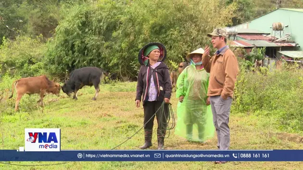 Nỗ lực từ những vùng đất 30a của Quảng Ngãi