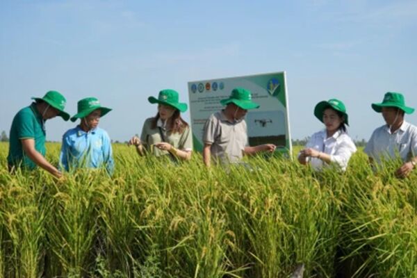 Vietnam makes strides in sustainable agricultural development