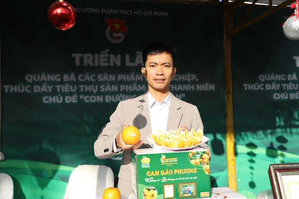 Thanh niên nông thôn bền bỉ làm giàu từ quê hương