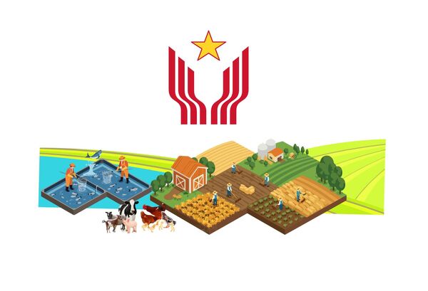 New-style rural building drive delivers strong results nationwide