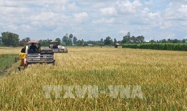 Tái cấu trúc ngành nông nghiệp TP. Hồ Chí Minh - Bài 1: Mở rộng không gian phát triển