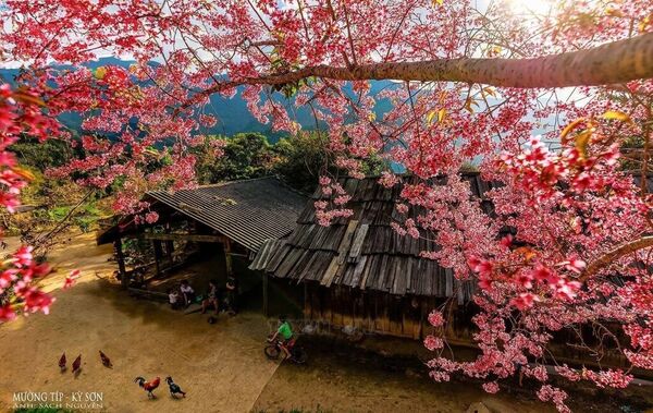 Nghe An – attractive destination during 2026 New Year holiday