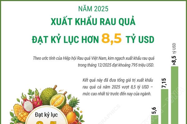 Xuất khẩu rau quả “lội ngược dòng” ấn tượng, đạt kỷ lục 8,5 tỷ USD trong năm 2025