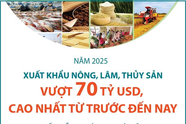 Năm 2025: Xuất khẩu nông, lâm, thủy sản vượt 70 tỷ USD, cao nhất từ trước đến nay