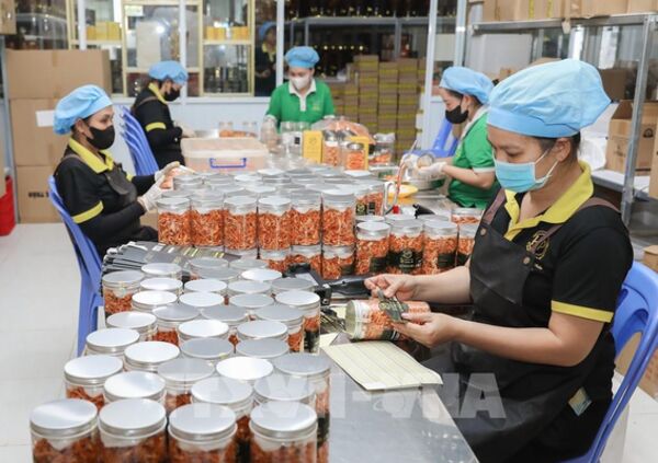 Kỳ vọng xuất khẩu nông lâm thủy sản năm 2026 đạt từ 73-74 tỷ USD