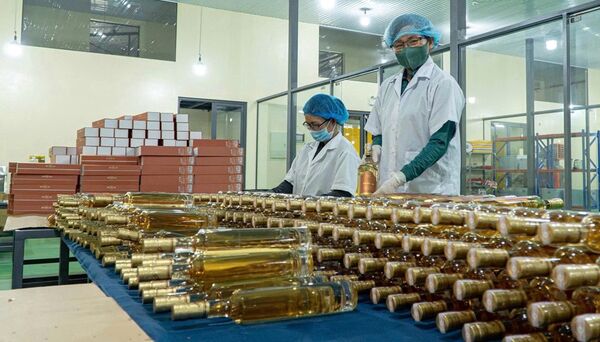 Nghị quyết 68-NQ/TW: Doanh nghiệp nữ mở rộng không gian phát triển