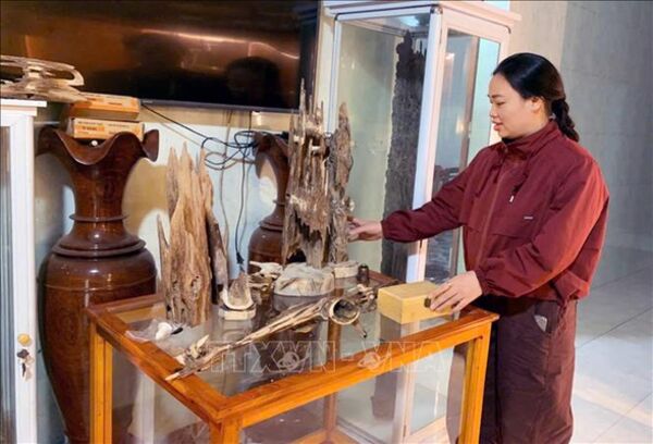 Trầm hương lên sàn, lan tỏa thương hiệu OCOP Hà Tĩnh