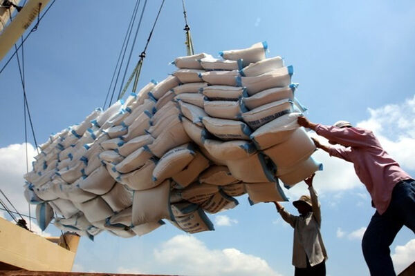 Restructuring rice sector requires state – enterprise – bank collaboration: experts