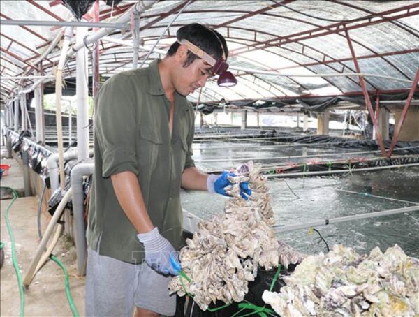 Đưa Nghị quyết thành hành động: Hiện thực hóa khát vọng phát triển đất nước