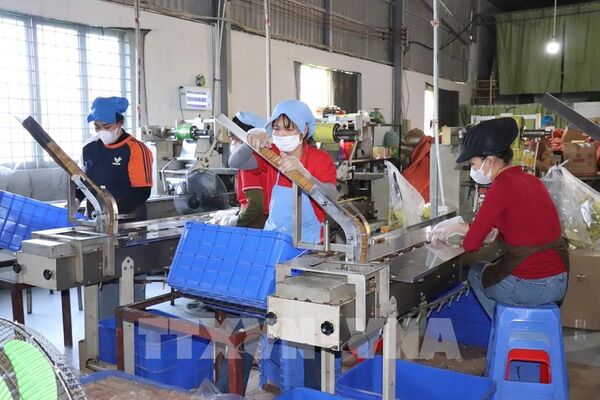 Doanh nghiệp tăng tốc sản xuất, đón sức mua thị trường Tết