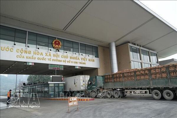 OP-ED: Decree 46 - Not proof of distorted “systemic failure”