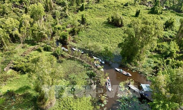 Forest databases for EUDR implementation to be completed in 2026