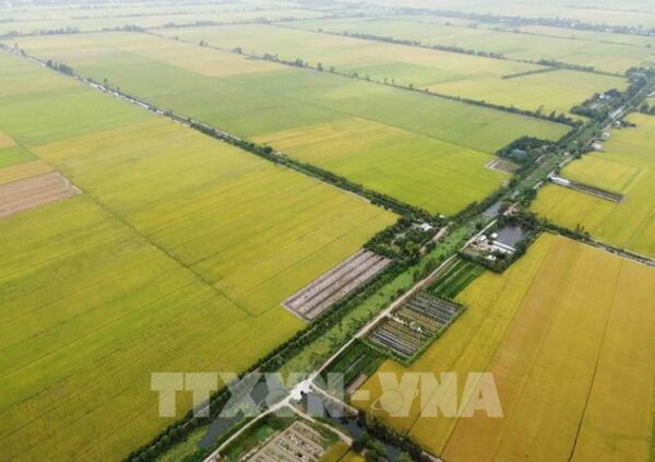 An Giang phát triển thế mạnh nông nghiệp sau hợp nhất