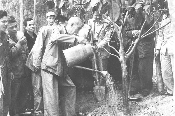 <b>Tết trồng cây và triết lý sống hòa hợp với thiên nhiên của Bác Hồ</b>