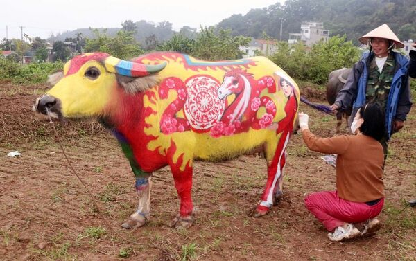 Buffalo body-painting competition delights festival-goers
