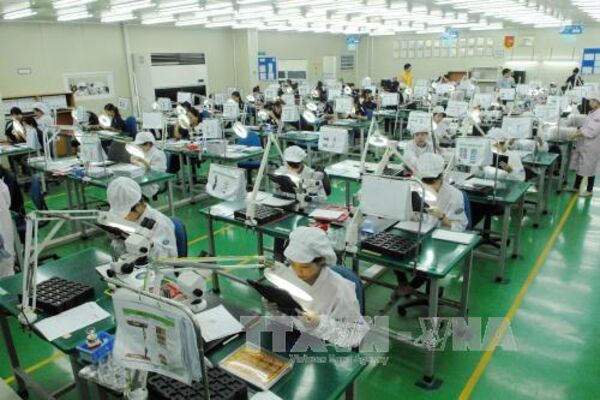 Chuyển đổi mô hình xuất khẩu đáp ứng xu hướng tiêu dùng xanh