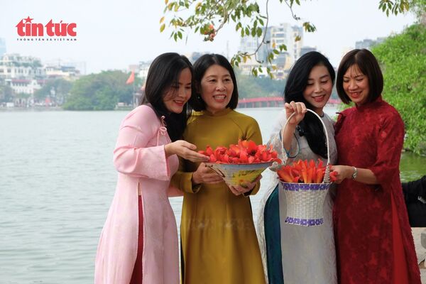 Người dân Thủ đô hào hứng check-in mùa hoa gạo tháng Ba