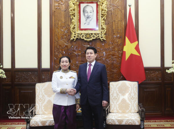 Vietnam eyes stronger relations with Cambodia, Saudi Arabia, Dominica: State President