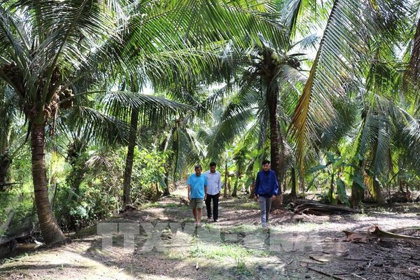 Đồng bằng sông Cửu Long “thuận thiên” với kinh tế xanh và tuần hoàn