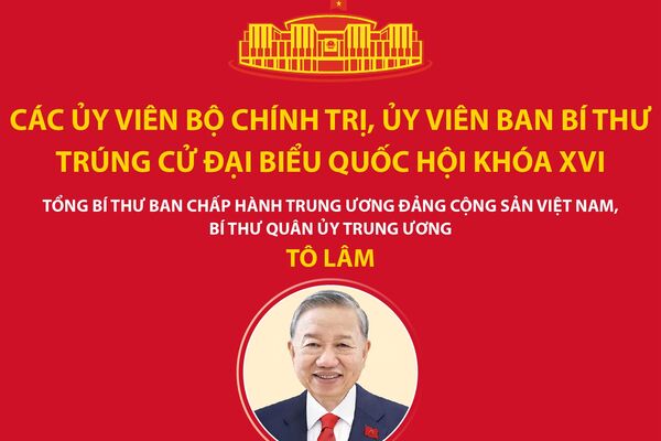 Các Ủy viên Bộ Chính trị, Ủy viên Ban Bí thư trúng cử đại biểu Quốc hội khóa XVI