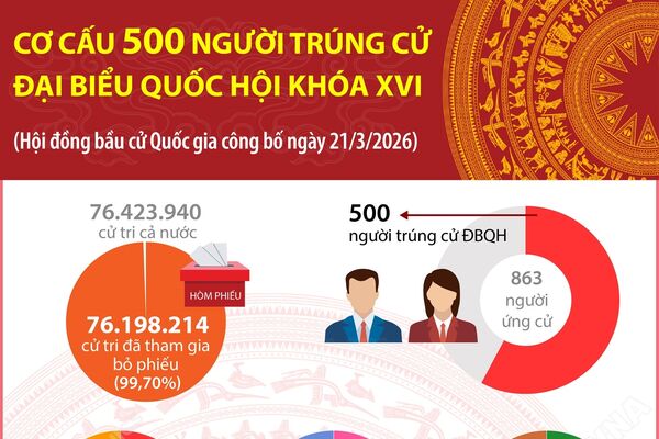 Cơ cấu 500 người trúng cử Đại biểu Quốc hội khóa XVI