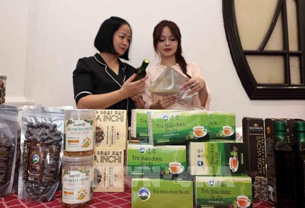 Doanh nghiệp chuyển hướng cạnh tranh theo tiêu chuẩn xanh