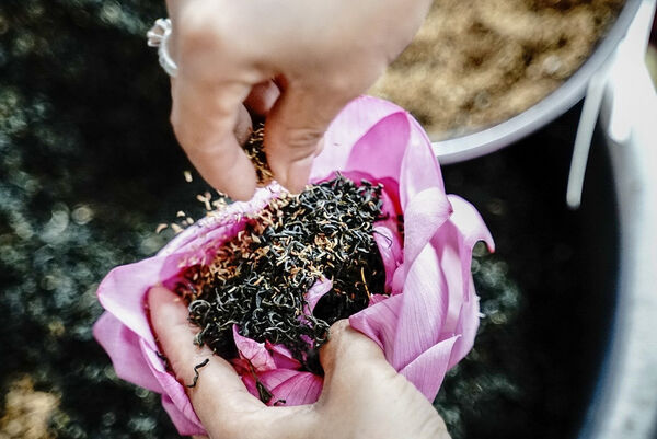 Trà ướp sen Tây Hồ - tinh hoa mỹ vị của người Hà Nội