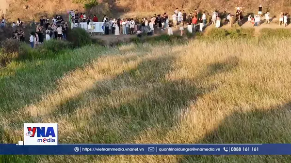 TPHCM: Cánh đồng cỏ lau hút khách “săn” mặt trời “trứng muối”