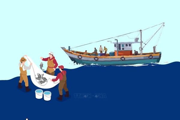 Urgent tasks to address IUU fishing