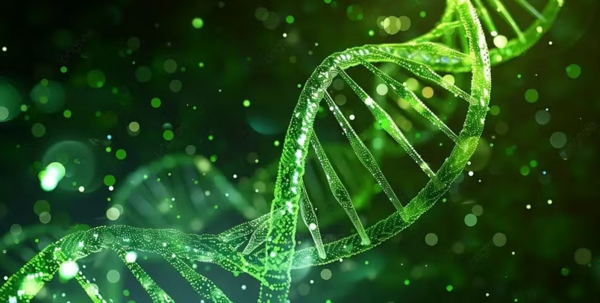 Vietnamese scientists unlock genetic insights into rare diseases