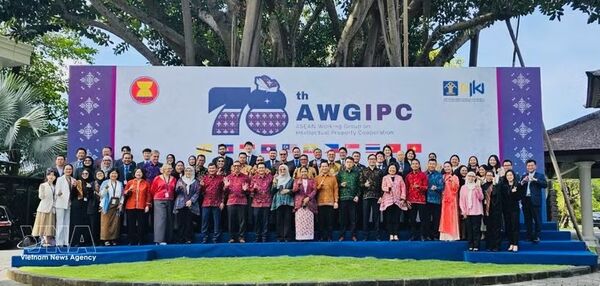 Vietnam reports 2025 strides at ASEAN working group’s meeting on IP
