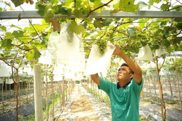 Phát huy hiệu quả chính sách dân tộc, nâng cao đời sống đồng bào Khmer