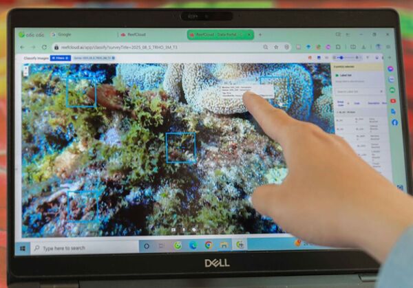 Applying AI to protect “green resources” on Ly Son island