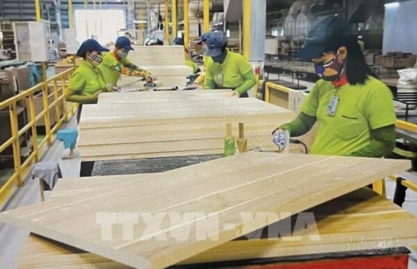 Định vị thị trường nội địa trở thành trụ cột tăng trưởng của ngành gỗ 