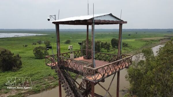 Modern technology enhances forest fire prevention