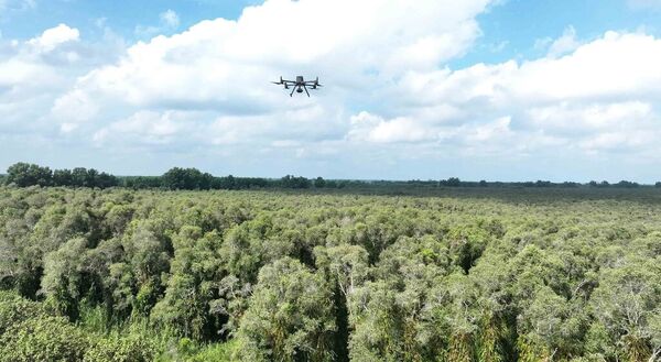 Ca Mau applies science and technology in forest management and protection