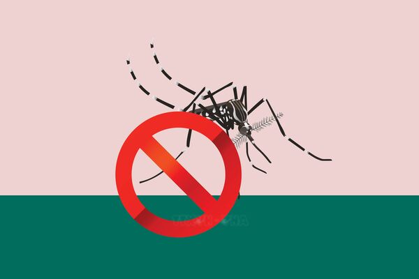 To-do list for dengue fever prevention
