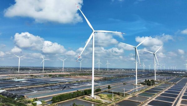 Ca Mau strives to become clean energy hub of Mekong Delta