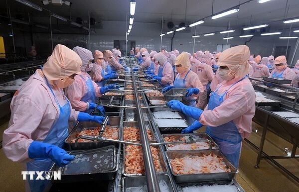 Tôn vinh sản vật địa phương: Đòn bẩy cho phát triển kinh tế Cà Mau