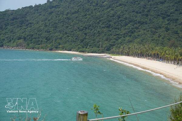 Cu Lao Cham poised to become Da Nang’s green paradise