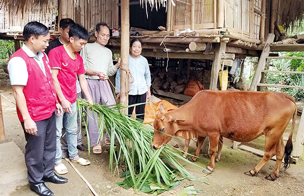 Xây sinh kế bền vững cho người nghèo từ các mô hình cộng đồng