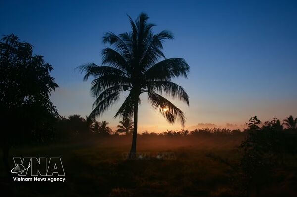 Early morning mist blankets Can Tho’s riverine countryside
