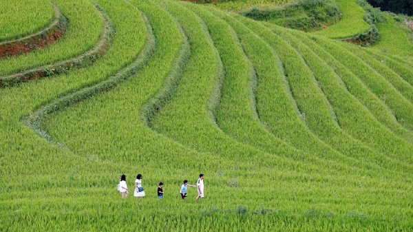 Regional connectivity creates fresh momentum for Vietnam’s tourism growth