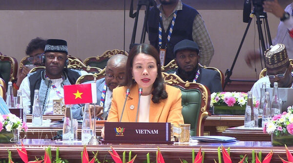 Vietnam ready to strengthen BRICS connection with Asia-Pacific