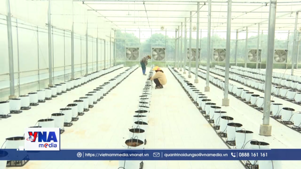 Ứng dụng KHCN trong sản xuất nông nghiệp tại Điện Biên