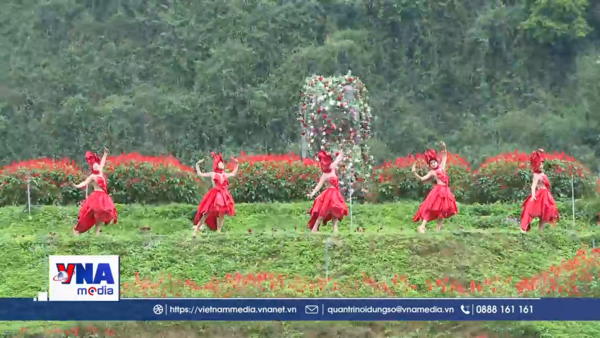 Vẻ đẹp say lòng người của các 