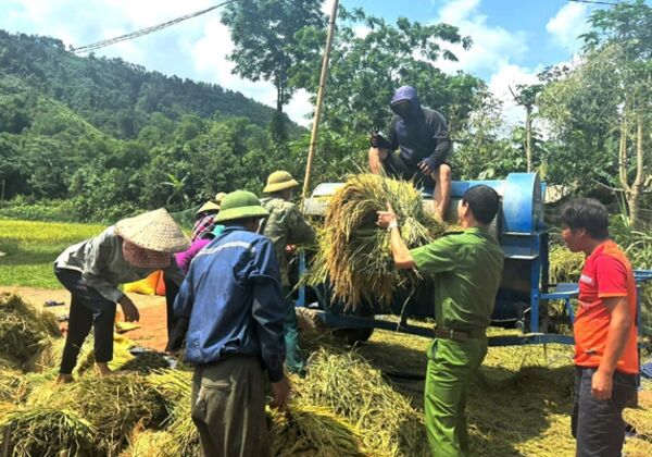 Tuyên Quang: Công an cơ sở giúp nhân dân thu hoạch lúa mùa và nông sản