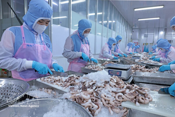 Digital technology helps standardise supply chains, sustain export competitiveness