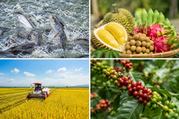 Agricultural exports seek to overcome technical barriers through digitalisation, technology