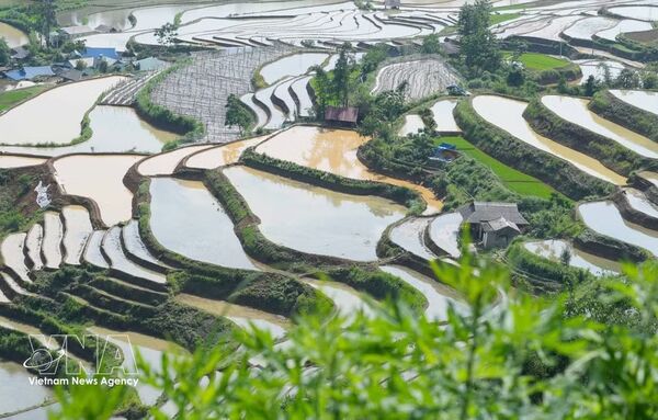 Lai Chau’s terraced fields shine during water-pouring season